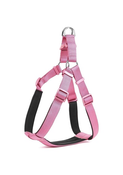 Köpek Göğüs Tasması 45cm Small Çok Renkli