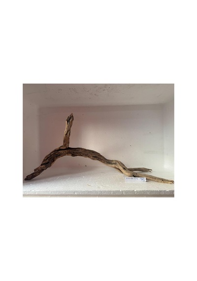 Red Welt Wood No:200602 57x18x23h