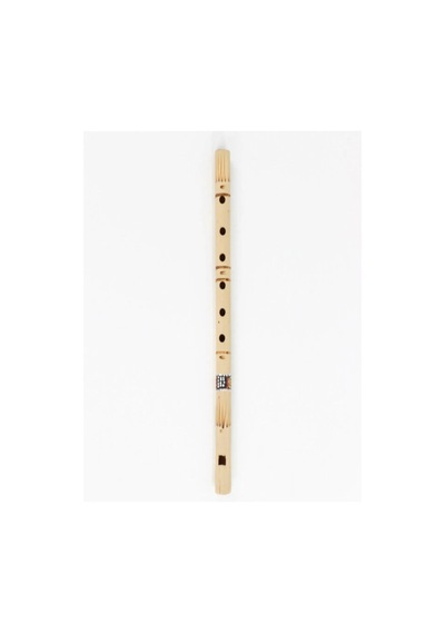 Bambu Kaval - 30 Cm