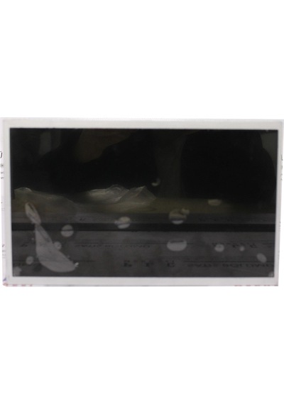N101l6-l01 Lcd Ekran Yedek Parça