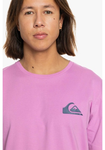 Quiksilver Mwmınılogo Tees Pembe Erkek Kısa Kol T-shirt 000000000101933114 Pembe