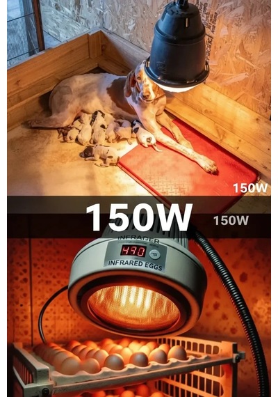 150w Kızılötesi İnfrared Isıtıcılı Hayvan Isıtma Ve Kuluçka Lambası Kırmızı Işık E27