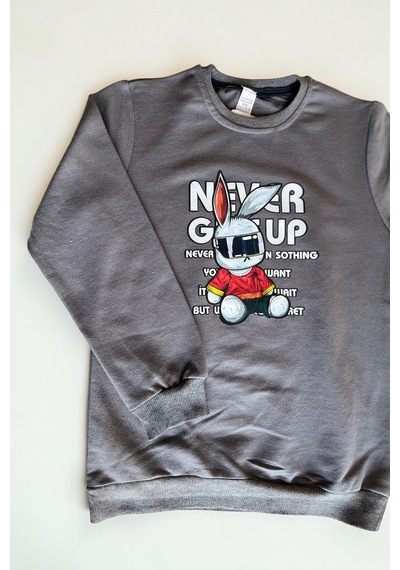 Minik Motion 3'lü Set Çocuk Baskılı 2 İplik Penye Sweatshirt Füme - Kırmızı