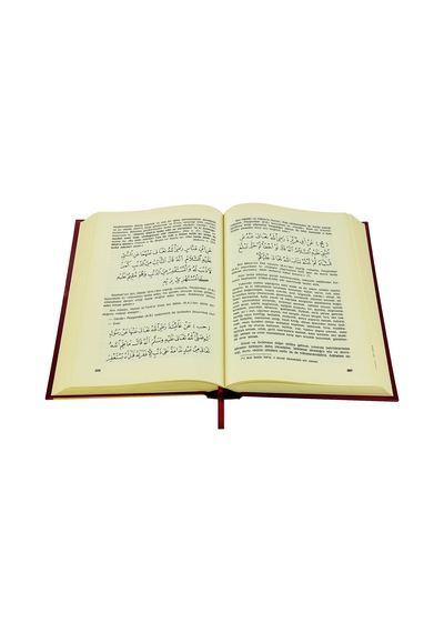 Tarikat-I Muhammediyye - Imam-I Birgivi