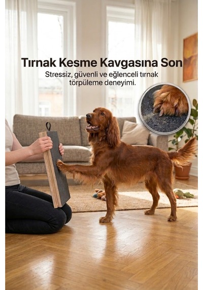 Reyo Köpekür Köpekler İçin Tırnak Törpüleyen Tırmalama Ve Eğitim Tahtası