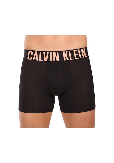 Calvin Klein Calvın Kleın Erkek 3 Lü Boxer Nb3609a-vvn Siyah