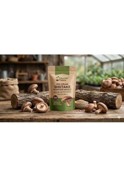 100 Gram Shiitake Mantar Tohumu Miseli