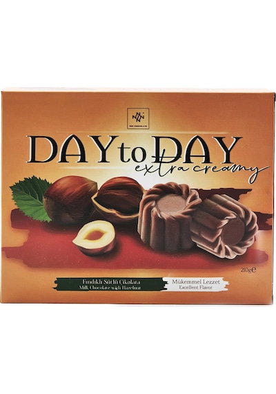 Day To Day Fındıklı Sütlü Çikolata 210 Gr