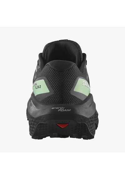 Salomon Ultra Flow 2 Gtx Erkek Koşu Ayakkabısı L47981400 Çok Renkli