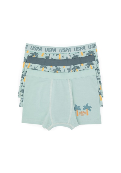 U.S. Polo Assn. Erkek Çocuk 3'lü Boxer Takım 50319388-VR048