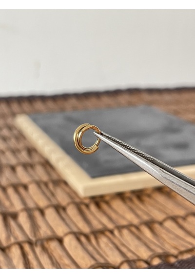 %100 Cerrahi Çelik Çift Çapraz Sıra 6 MM X 1.2 MM Altın Kilitli Halka Piercing Altın