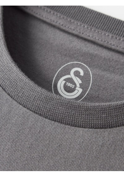 Gsstore Galatasaray Çocuk T-shirt C252097 Antrasit