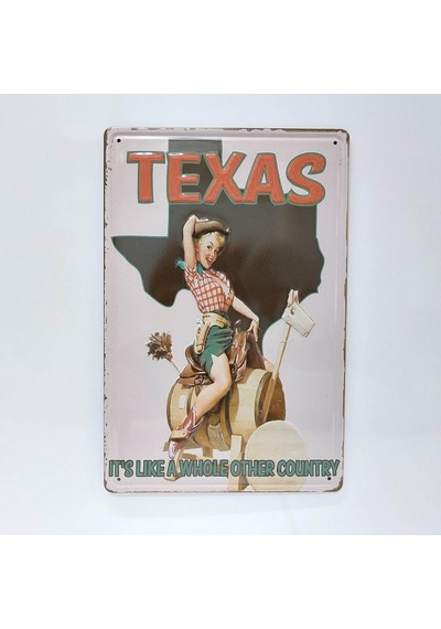 Cajuart Texas Temalı Retro 20x30 Cm Metal Plaka Duvar Dekor