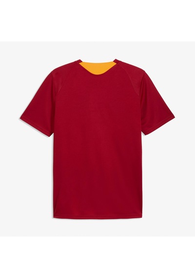 Puma Galatasaray 26/27 Erkek Kırmızı Antrenman Forma 786805