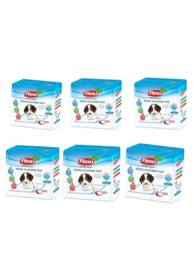 Flexi Kaydırmaz Bantlı Çiş Pedi 6 x 10'lu 55 x 60 CM Flexi Kaydırmaz Bantlı Çiş Pedi 6 x 10'lu 55 x 60 CM