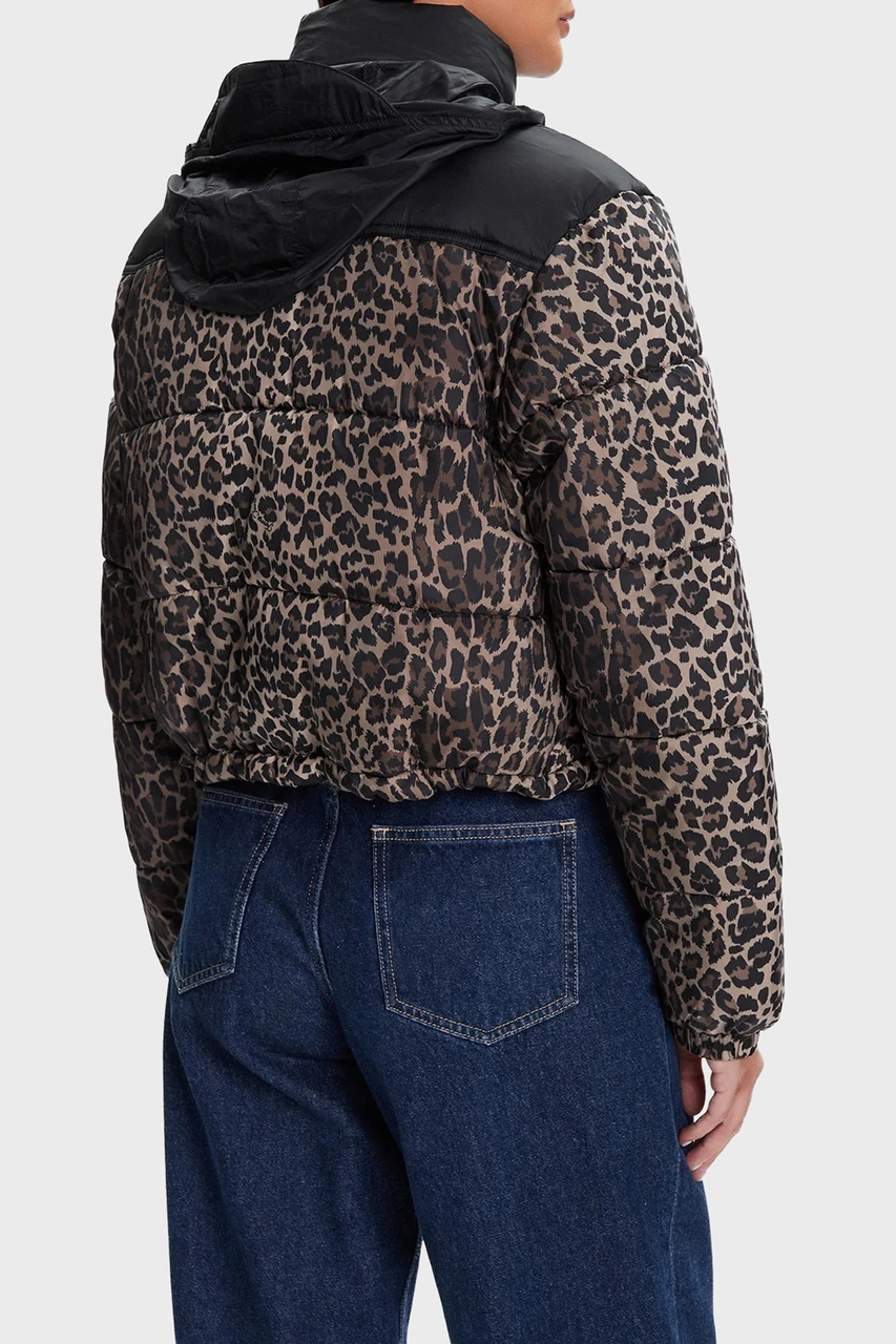 Tommy Jeans Bayan Mont Dw0dw21967 0hd Leopar Leopar