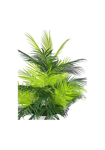 Yapay Çiçek Areka Salon Bitkisi Beyaz Uzun Kumsal Vazoda 130cm 45yaprak