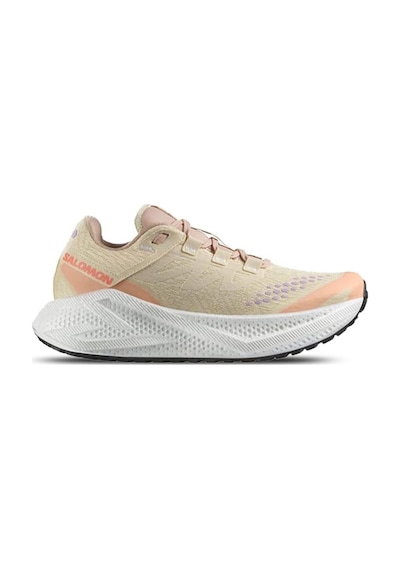 Salomon Aero Glıde 3 Grvl W Kadın Koşu Ayakkabısı L47812500 Bej
