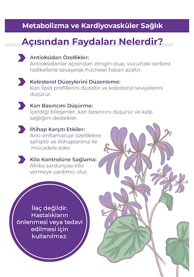 Orfarma Afrika Sardunyası Takviye Edici Gıda 50 ML