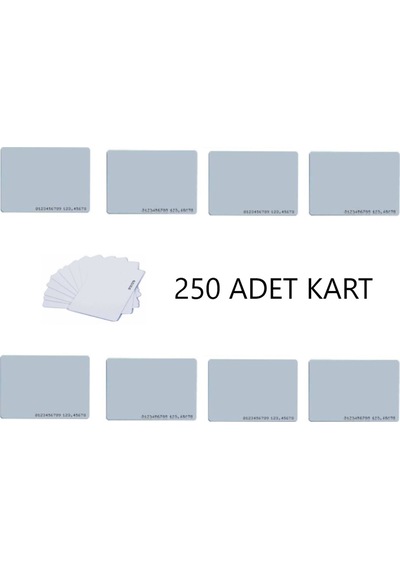 Sonex 250 Adet Manyetik Kart - Göstergeç Proximity Kart