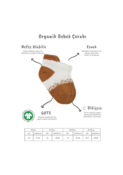 2'li Penye Sneakers Çorap Bs20105 Ekru Hardal Renkli Çok Renkli