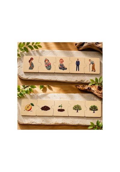 Montessori Ahşap Puzzle Doğa Harikaları 50 Parça Yaşam Döngüsü Sıralama Eğitici Oyun