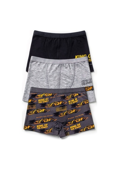 Öts Erkek Çocuk 3 Lü Pamuklu Boxer Baskılı Ekstra Konforlu Kalıp 7710-3 Renkli
