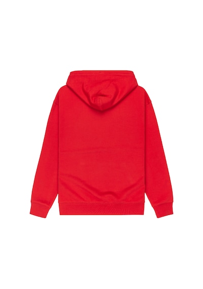 Quıksılver Quiksilver Dna Hoodie Erkek Kırmızı Sweatshirt Rzm0