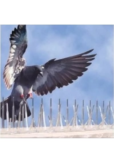 Plastik Kuş Konmaz Dikeni - Kuş Kondurmaz Tel Diken 10'lu Paket