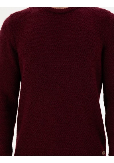 U.S. Polo Assn. Erkek Regular Fit Bisiklet Yaka Bordo Kazak 50297049-VR014