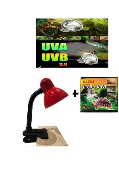 Mandallı Akrobat Lamba Tutacağı 25 W Uva/uvb Lamba Dahil Kırmızı