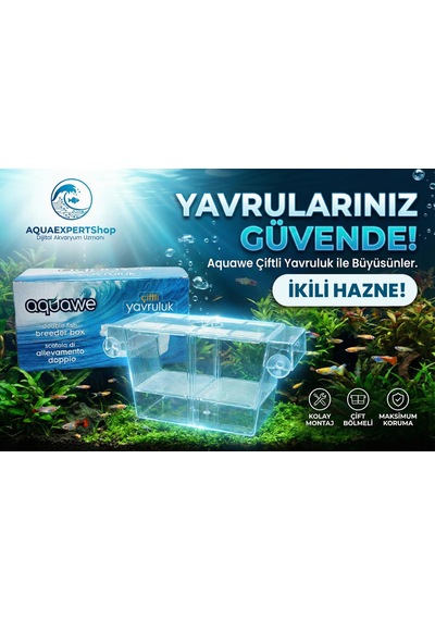 Aquawe Çiftli Yavruluk - Şeffaf Tasarım - 19,5 X 10 Cm - Şeffaf Vantuzlu - Sağlam Yapı - Balıklar İçin Güvenli