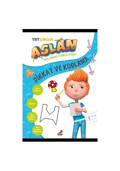 Aslan Dikkat Ve Kodlama