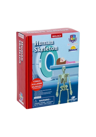 Mey İthalat Bilim Seti : İnsan İskeleti