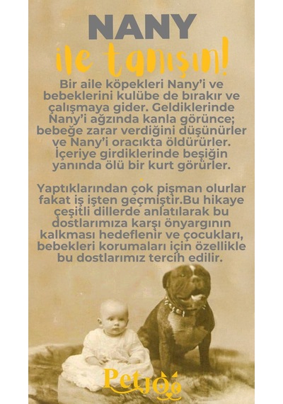 Petjoo 17.Nany Sarı-Gri Qr'lı Köpek Künyesi
