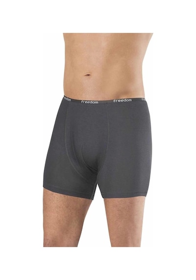 Bambu Düz Renk Erkek Boxer Füme - 1275a Çok Renkli