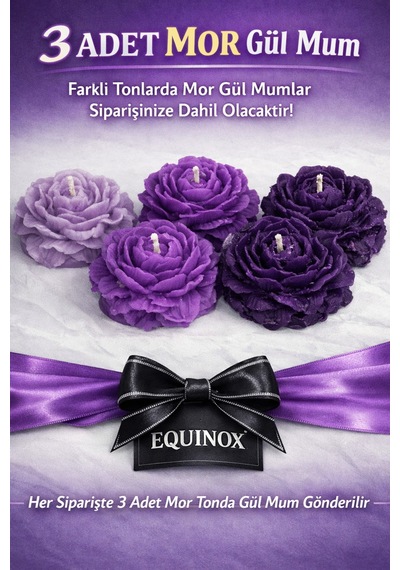 Equinox Mor Tonlarında Şakayık Çiçeği 3adet Dekoratif Hediyelik Mor