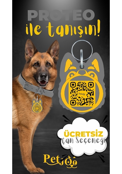 Petjoo 24.Proteo Sarı-Gri Qr'lı Köpek Künyesi