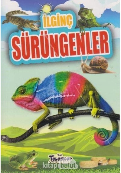 İlginç Sürüngenler - İlginç Bilgiler Serisi Sku: Zeusstk7d5c4438c4