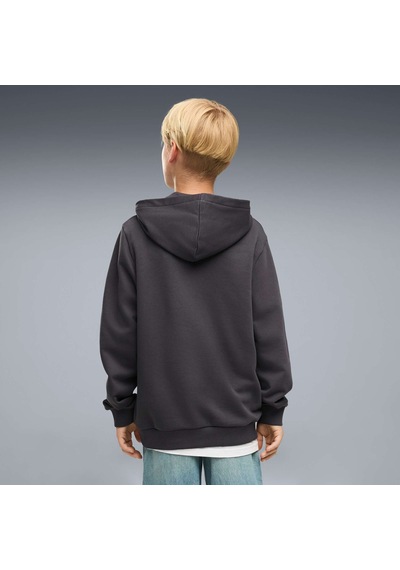 Puma Galatasaray Ftblculture Genç Kapüşonlu Sweatshırt 787646 19 Gri