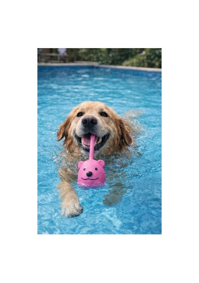 Köpek Oyuncağı Kuyruklu Latex Pink - Suda Batmaz