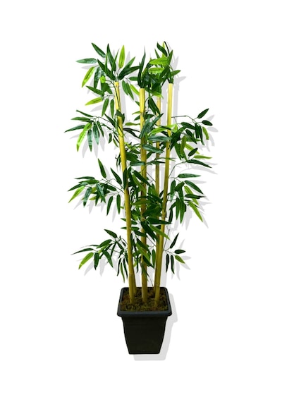 Cihan Çiçekçilik Yapay Bambu Ağaç 110 Cm 5 Bambulu Siyah Saksı Beyaz- Yeşil