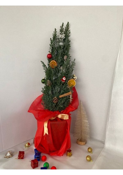 Hediyelik Elwoodi Yılbaşı Ağacı Süslemeli 40-70cm Kozalak+portakallar Dahil