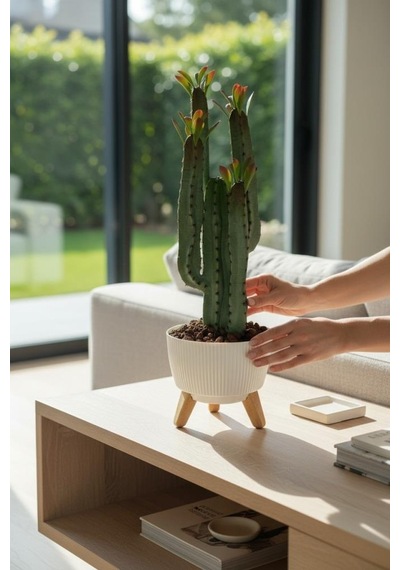 Yapay Kaktüs 4 Kollu Yapraklı Model Zigon Saksıda Yapay Bitki 70cm Yeşil