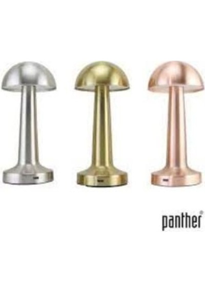 Panther Pt-700 Usb Şarjlı Masa Lambası Karışık Renk