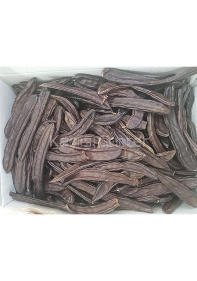 Toptan Keçi Boynuzu Meyvesi 10 Kg 10 KG