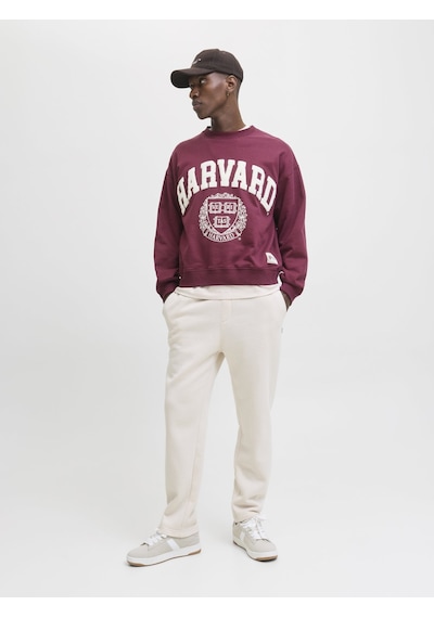 Jack & Jones Jpstkane Bradley Uncuffed Eşofman Altı 12279134 Bej