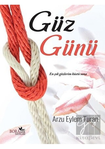 Güz Günü - Arzu Eylem Turan - Boramir Yayınları