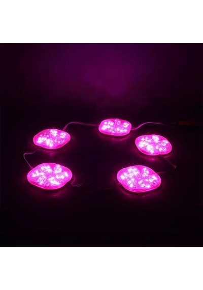 Hubrendy Sh Powermaster 12 Volt 3 Watt Pembe Yanıp Sönen 6565-2835 Modül Led