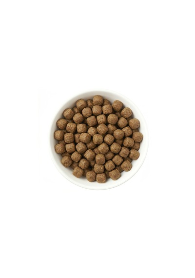 Zampa Tam ve Dengeli Biftekli Yavru Köpekler İçin Kuru Mama 15 KG
